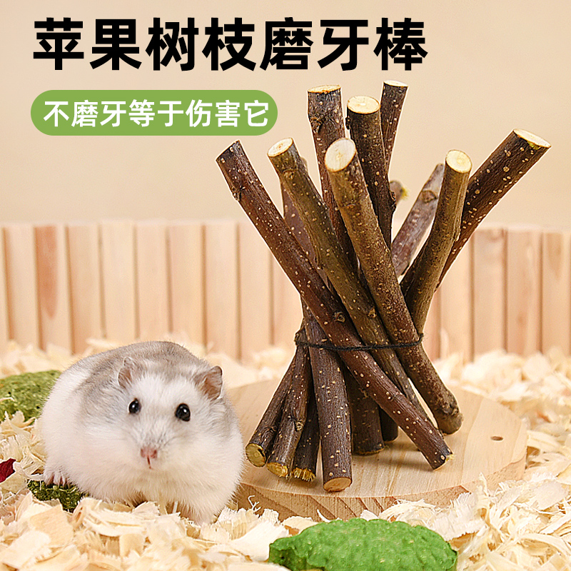 仓鼠零食磨牙棒苹果树枝金丝熊龙猫兔子磨牙用品甜竹苜蓿草造景