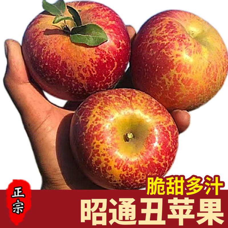 云南昭通苹果冰糖心丑苹果新鲜苹果当季水果现摘红富士10斤包邮
