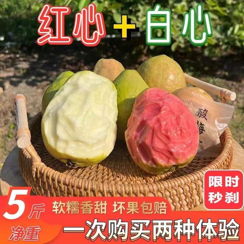 【红+白】广西番石榴果香软甜白心芭乐应季现摘新鲜水果番石榴