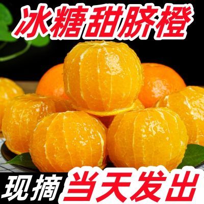 【现货】湖南麻阳冰糖甜脐橙子超甜当季新鲜水果薄皮手剥整箱批发