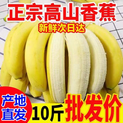 【爆甜】云南特产高山大香蕉当季新鲜孕妇水果整箱批发非米蕉芭蕉