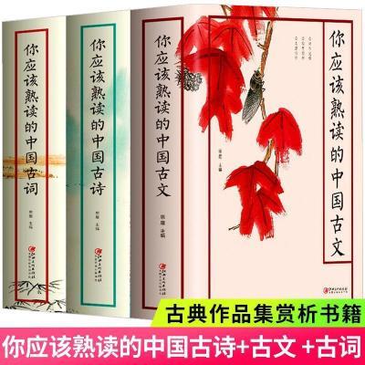 你应该熟读的中国古文 古诗 古词全3册 古典作品赏析青少年课外书