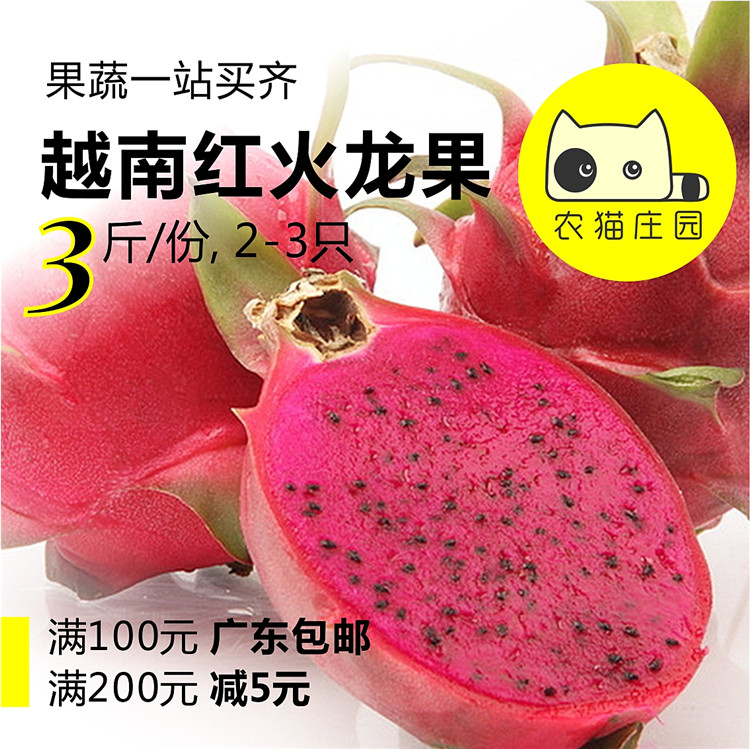 红心火龙果 3斤 新鲜大只进口越南红肉火龙果 深圳水果果汁奶茶