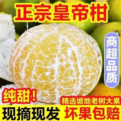 【精品】正宗广西武鸣皇帝柑新鲜水果当季柑橘薄皮橘子桔子包邮10