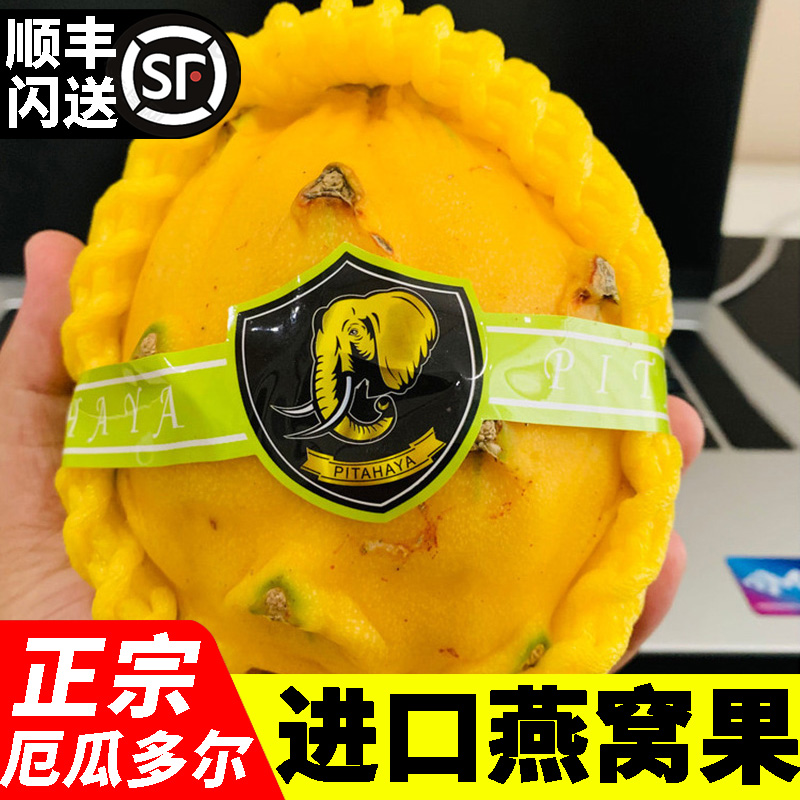 【顺丰】厄瓜多尔进口新鲜燕窝果 麒麟果黄色火龙果 节日水果礼盒