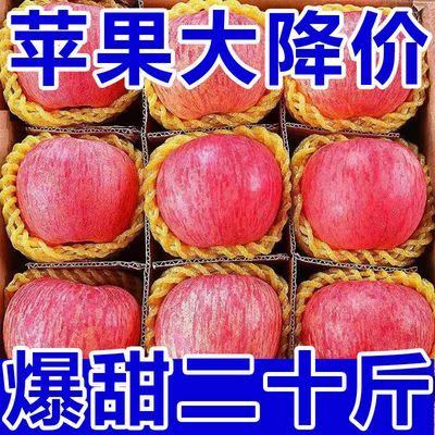 【超低价】陕西洛川红富士苹果冰糖心当季新鲜苹果脆甜批发一整箱