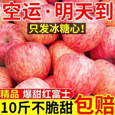 【半价抢】陕西洛川红富士苹果水果10斤批发孕妇爆甜当季新鲜苹果