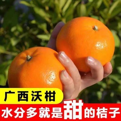 【爆甜多汁】广西正宗沃柑纯甜薄皮橘子当季新鲜柑橘桔子批发价