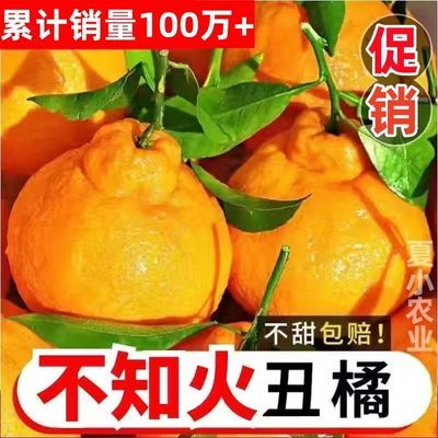 四川丑橘不知火10斤新鲜孕妇水果丑八怪丑柑整箱应季粑粑柑橘桔子