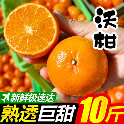 正宗广西武鸣沃柑新鲜水果批发价一整箱非橘子桔子柑橘1/10斤包邮