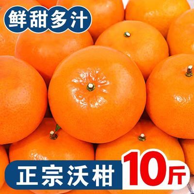 【爆甜沃柑】正宗广西武鸣沃柑新鲜水果薄皮当季桔子橘子柑橘整箱