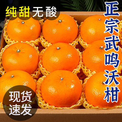 广西纯甜沃柑10斤橘子新鲜水果当季整箱沙糖蜜桔柑橘子桔子武级