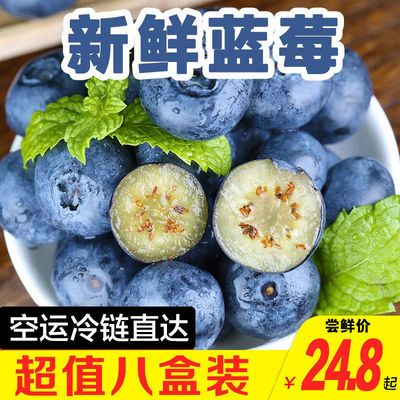 新品种蓝莓L鲜果系列新鲜颗颗大果孕妇宝宝辅食护眼蓝梅水果