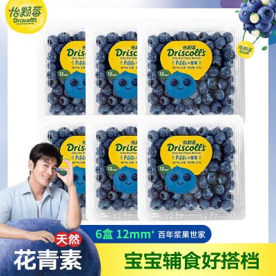 怡颗莓云南蓝莓小果6盒新鲜采摘鲜果宝宝孕妇辅食水果