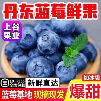 【顺丰包邮】丹东大蓝莓宝宝孕妇非云南新鲜蓝莓批发鲜当季4/8盒