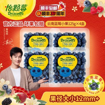 怡颗莓云南蓝莓小果125g*4盒当季新鲜采摘孕妇水果辅食果径12mm+