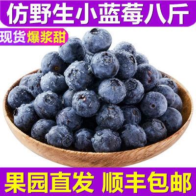 【新店半价】8斤蓝莓新鲜水果当季云南应季护眼孕妇宝宝辅食蓝莓