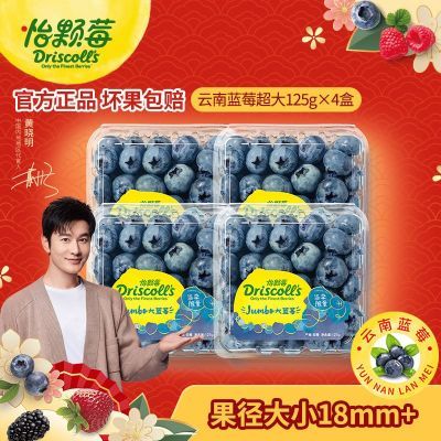 怡颗莓蓝莓超大果125g*4/6/8/12盒云南当季限量新鲜蓝莓果径18mm+