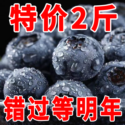 【特价】新鲜蓝莓大果优瑞卡蓝莓当季水果孕妇宝宝水果辅食蓝莓