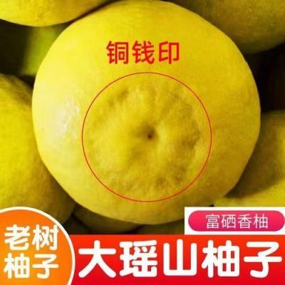 正宗·永州江永香柚自家种植包甜柚子沙田柚包邮纯甜不酸汁水足