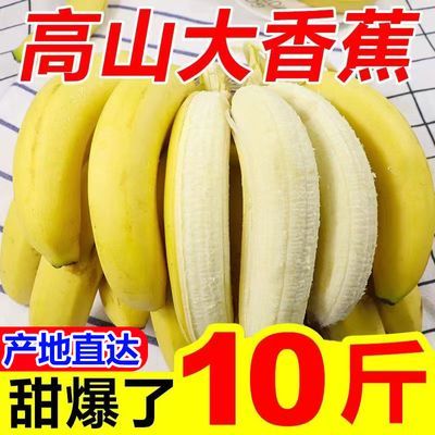 【超低价】云南高山大香蕉香甜当季新鲜水果整箱批发非小米蕉芭蕉