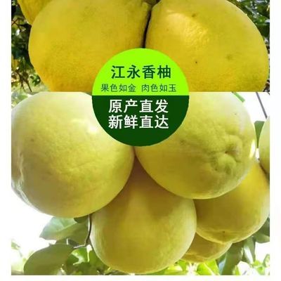 《永州》湖南江永香柚自家种植包甜柚子沙田柚包邮纯甜不酸汁水足