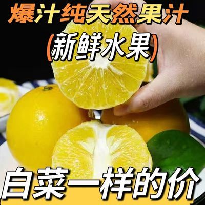 新鲜水果台湾黄金葡萄柚爆汁纯甜薄皮柚子葡萄柚现摘孕妇水果批发