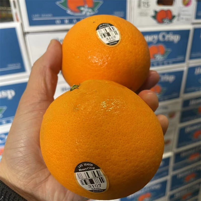 正宗黑标橙子3107橙子进口大果整箱商用脐橙甜橙子新鲜当季水果