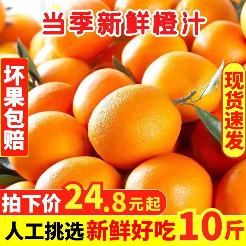 江西赣南伦晚脐橙子新鲜水果10斤应季整箱冰糖甜5夏橙大果20