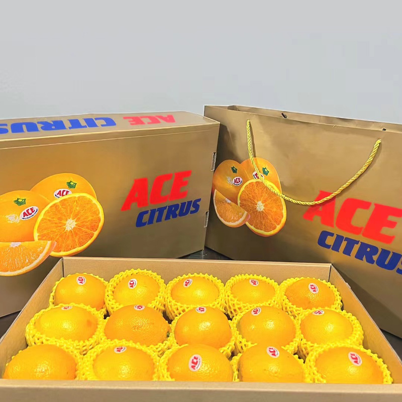 【顺丰】进口ACE进口脐橙 新鲜橙子 甜橙手剥橙节日水果礼盒15粒