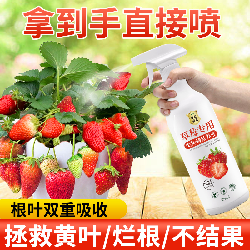 草莓营养液免稀释叶面肥草莓肥料专用肥家用盆栽结果有机肥液体肥