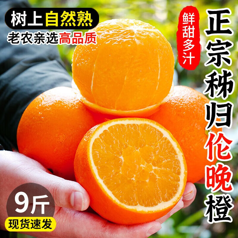 秭归伦晚脐橙新鲜橙子当季水果10斤整箱大果甜春橙果冻冰糖手剥橙