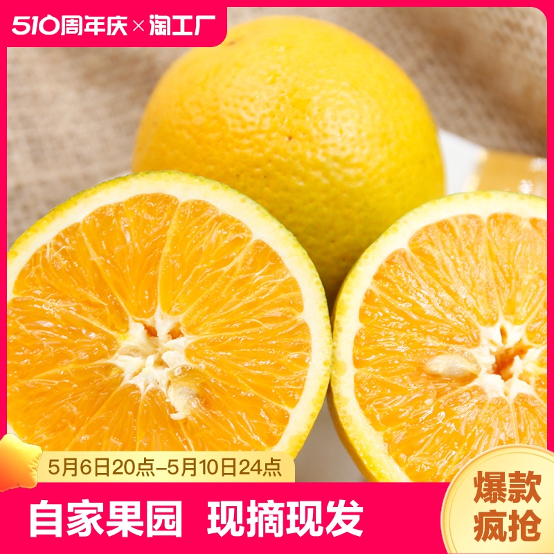 秭归夏橙当季现摘水果橙子手剥脐橙水果整箱
