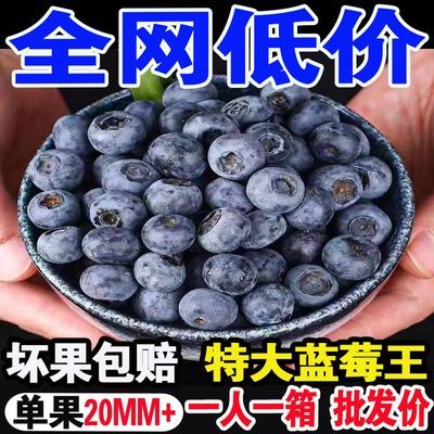 蓝莓新鲜特级蓝莓特大果盒装应季水果现摘蓝莓孕妇宝宝水果一整箱