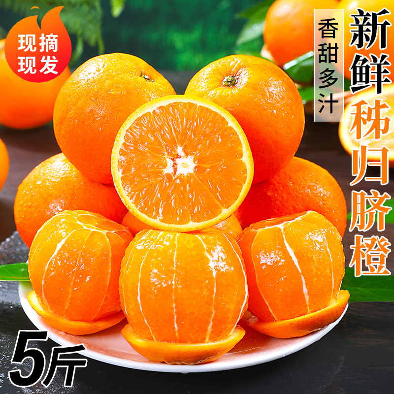 伦晚橙10斤中华脐橙子新鲜水果当季整箱甜脐大果果冻湖北秭归