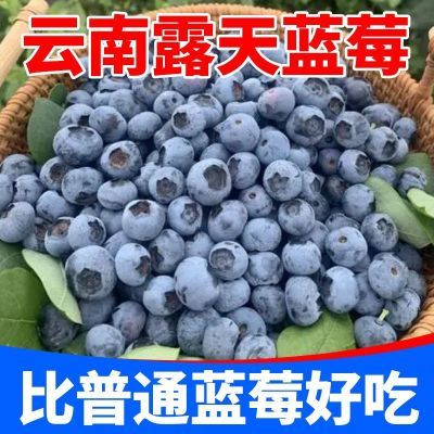 云南蓝莓新鲜水果露天国产蓝莓鲜果孕妇宝宝辅食应季水果批发包邮