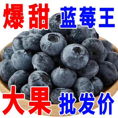 【果王】现货 新鲜蓝莓鲜果 孕妇宝宝蓝莓水果 蓝梅4盒6盒8盒榴莲