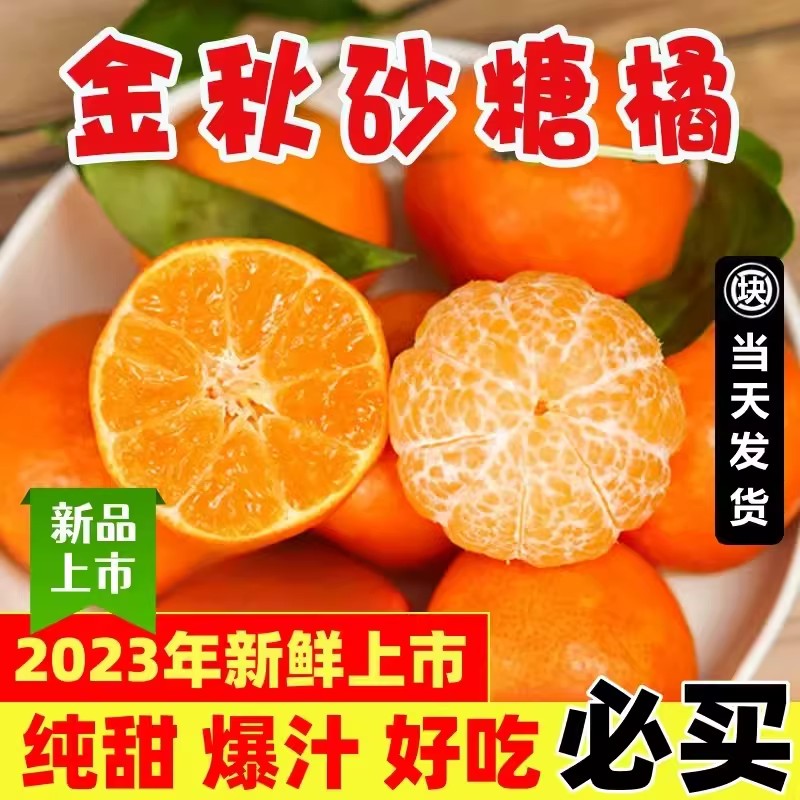现发正宗砂糖橘当季新鲜水果应橘子广西金秋沙糖桔礼盒10斤小桔子