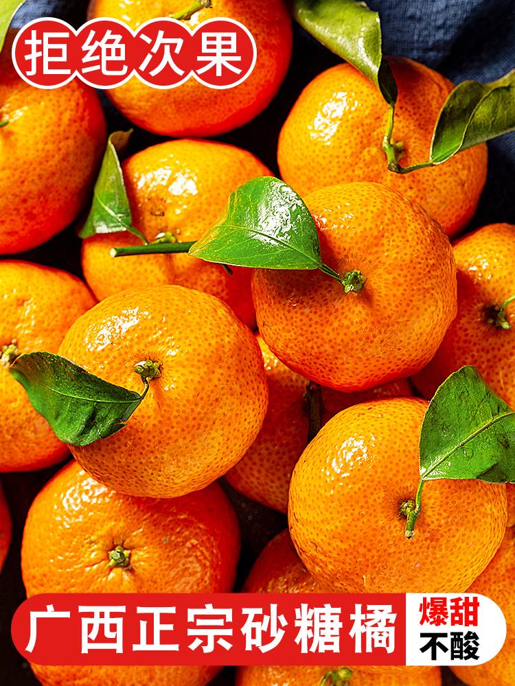正宗广西砂糖橘10斤新鲜水果当季超甜橘子无籽小沙糖桔子顺丰包邮