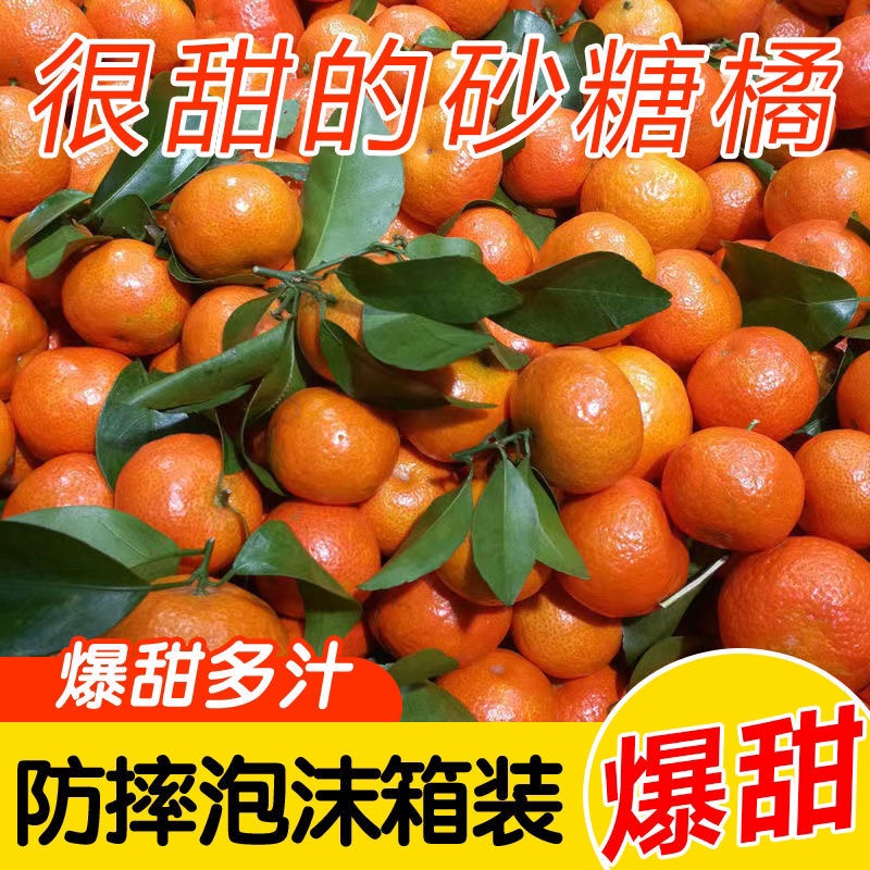 漓者广西正宗砂糖橘新鲜4/8斤塘桔小橘子当季水果整箱单果40mm起