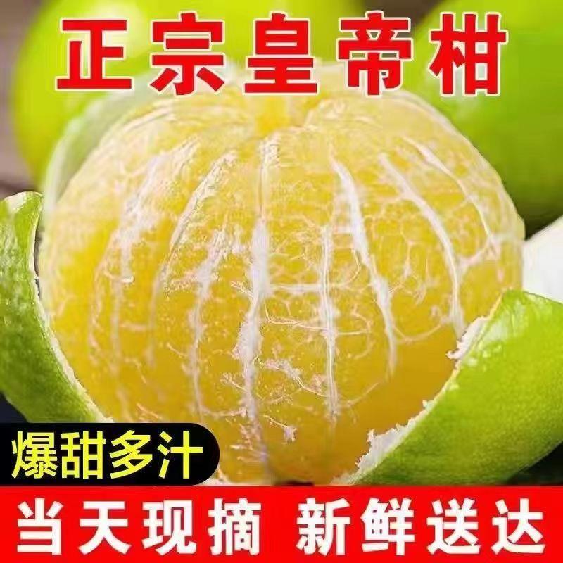 广西皇帝柑贡柑大果10斤当季新鲜水果蜜桔柑橘砂糖整箱包邮速发