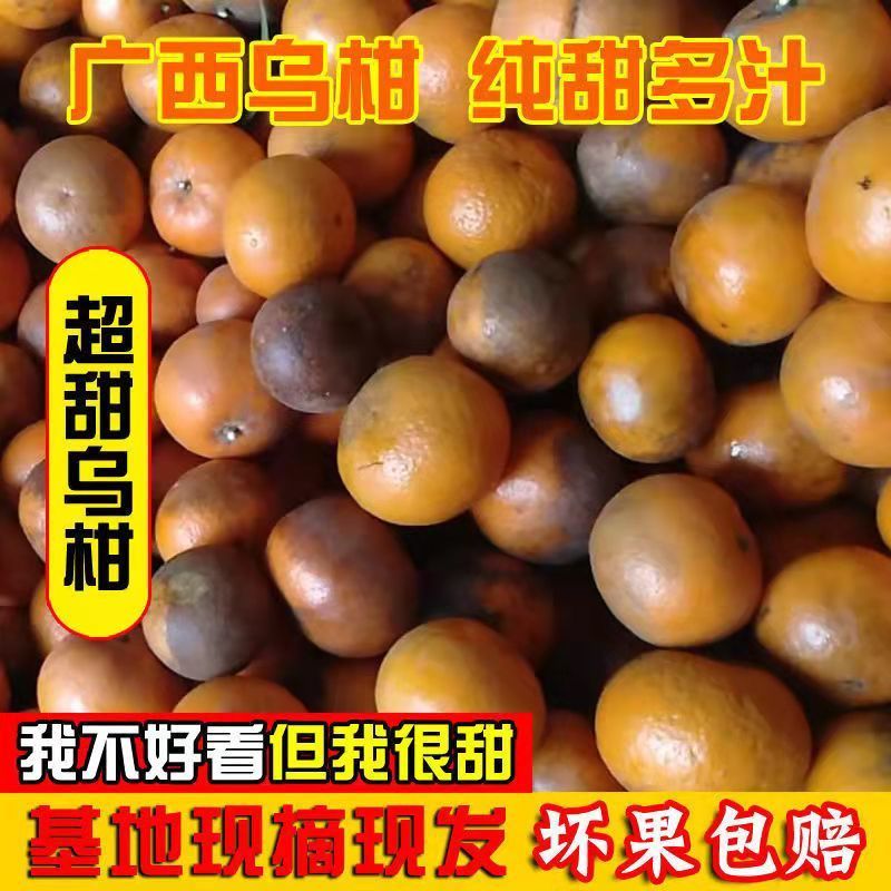 广西武鸣特甜沃柑新鲜水果当季整箱一级沙糖蜜橘砂糖柑橘桔子橘子