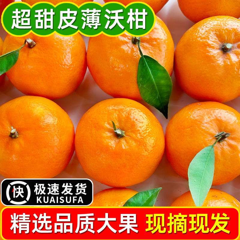 沃柑10斤新鲜水果当季整箱沙糖蜜橘皇帝砂糖柑耙耙丑八怪橘子桔子
