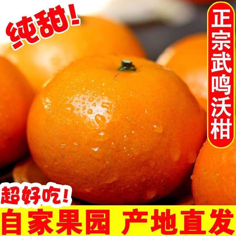 广西武鸣沃柑9斤新鲜水果当季整箱一级沙糖蜜橘砂糖柑橘桔子橘子