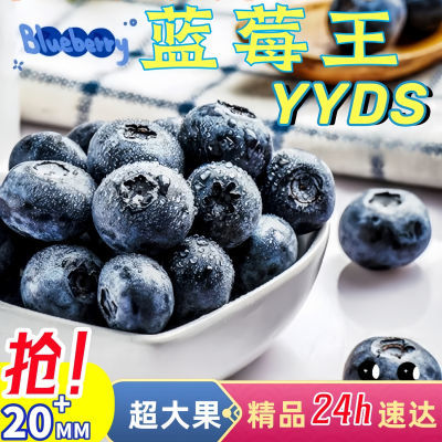 【现摘】蓝莓新鲜大果蓝莓孕妇宝宝当季水果云南蓝莓2盒4盒8盒
