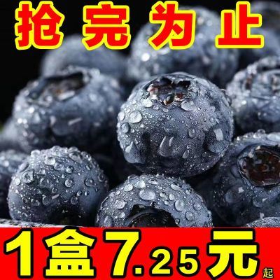 【大降价】云南新鲜蓝莓花香蓝莓孕妇水果当季蓝莓整箱批发鲜果