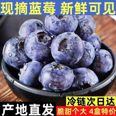 【纯天然】蓝莓新鲜产地现摘蓝莓鲜果应季水果蓝莓一整箱批发