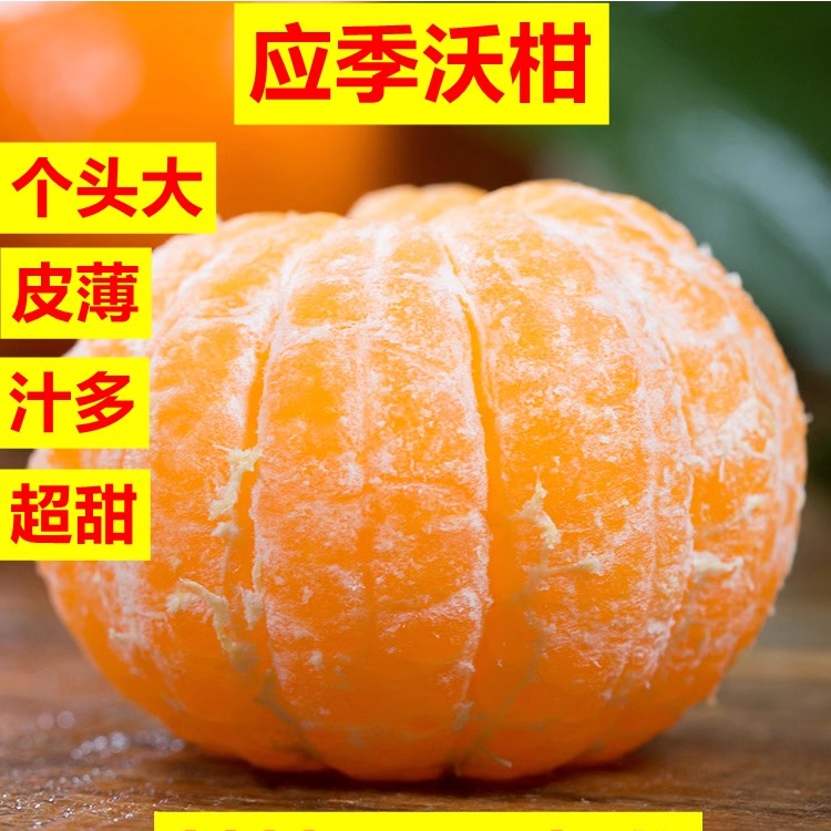 广西特产武鸣沃柑新鲜应当季水果超甜皮薄多汁砂糖蜜橘桔橘子桔子