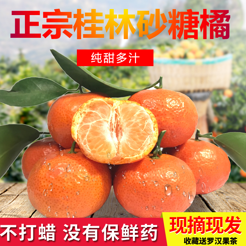 正宗广西永福砂糖橘当季孕妇水果新鲜现摘整箱蜜橘桔子柑橘10斤