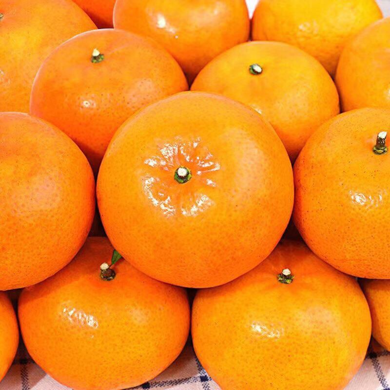 广西沃柑大果新鲜10斤水果整箱包邮皇帝蜜桔橘子砂糖农产品多汁
